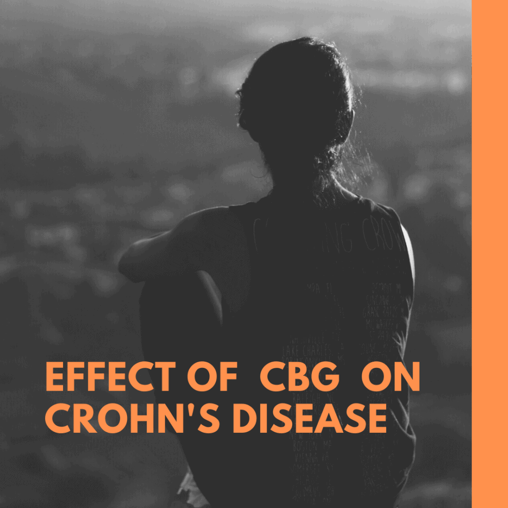 Effects of CBG on Crohn's Disease